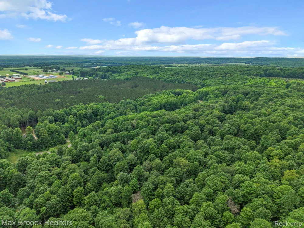 Mackinaw Ridge Kasson Township, MI 49630