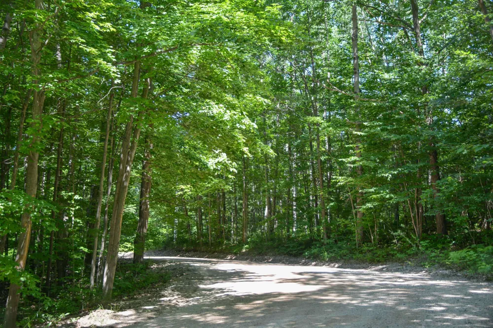 1877 Pinehurst Trail East Bay Township, MI 49696