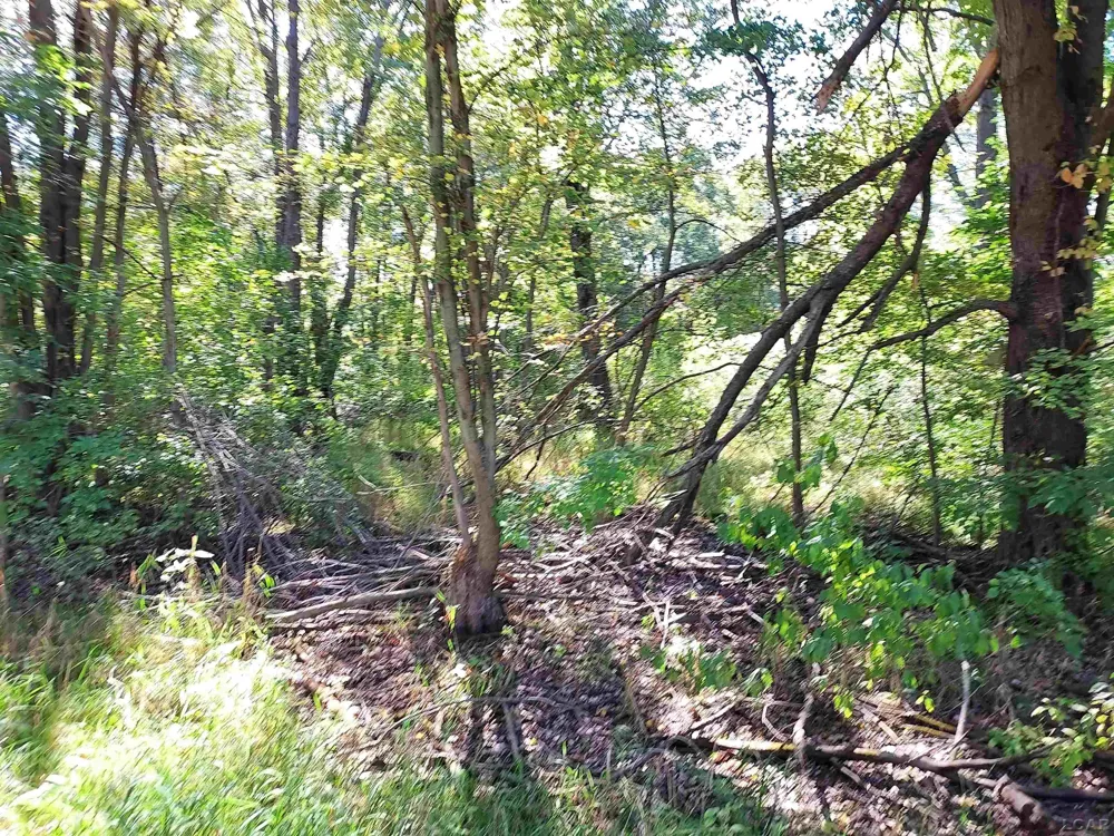 203 Kirkley Drive Columbia Township, MI 49230