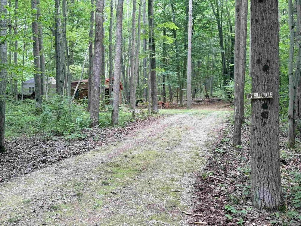 113 Hills Circle Rose Lake Township, MI 49655