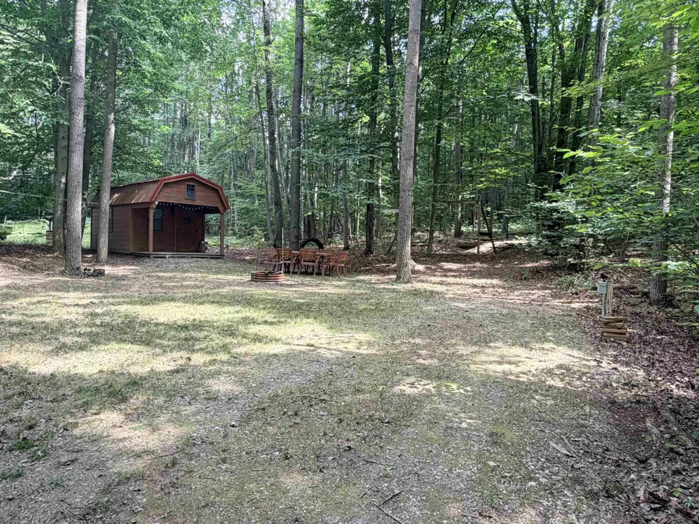 113 Hills Circle Rose Lake Township, MI 49655