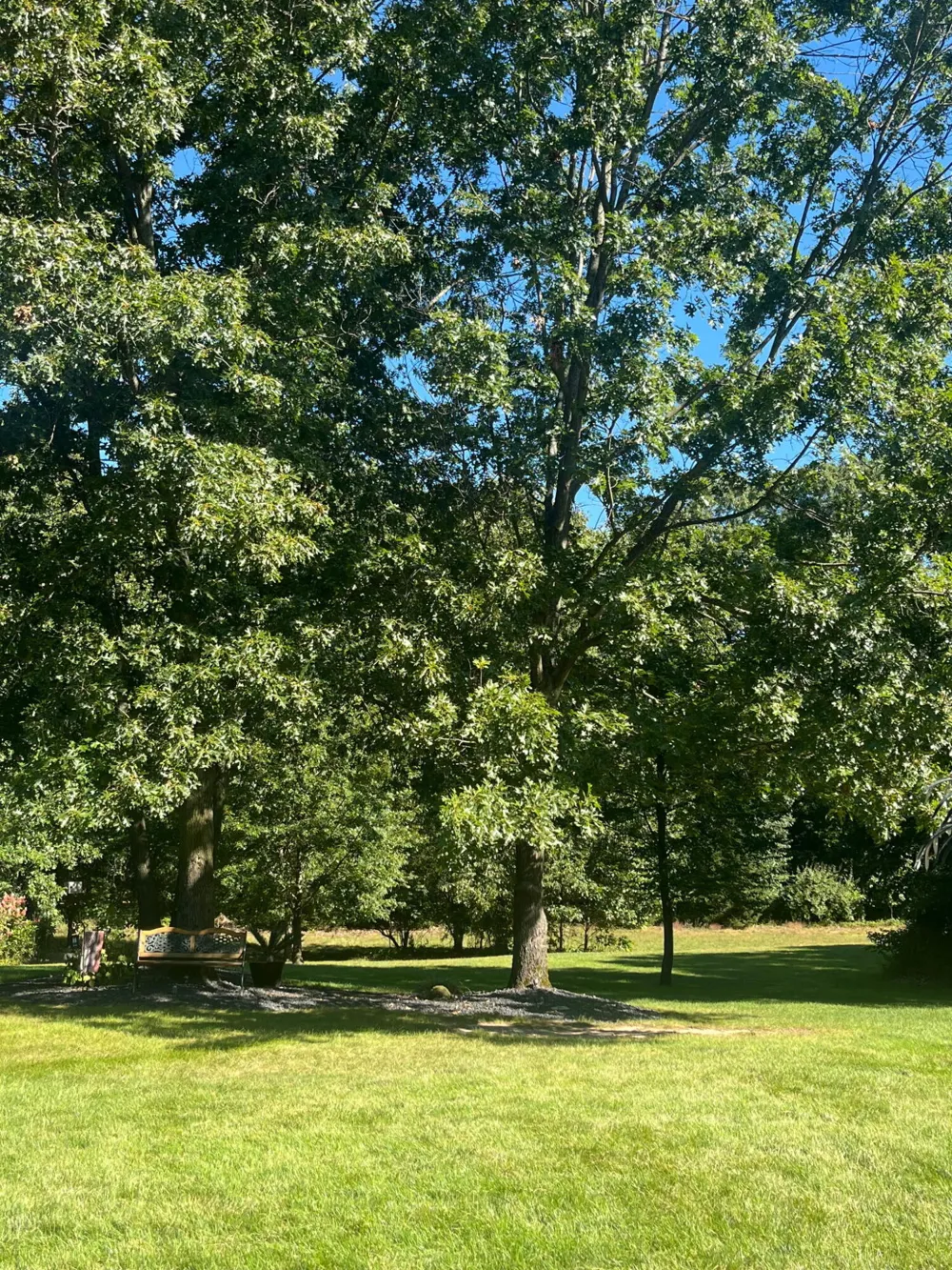 8059 Buttrick Ridge Trail SE Caledonia Township, MI 49302