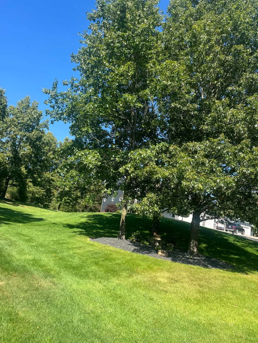 8059 Buttrick Ridge Trail SE Caledonia Township, MI 49302