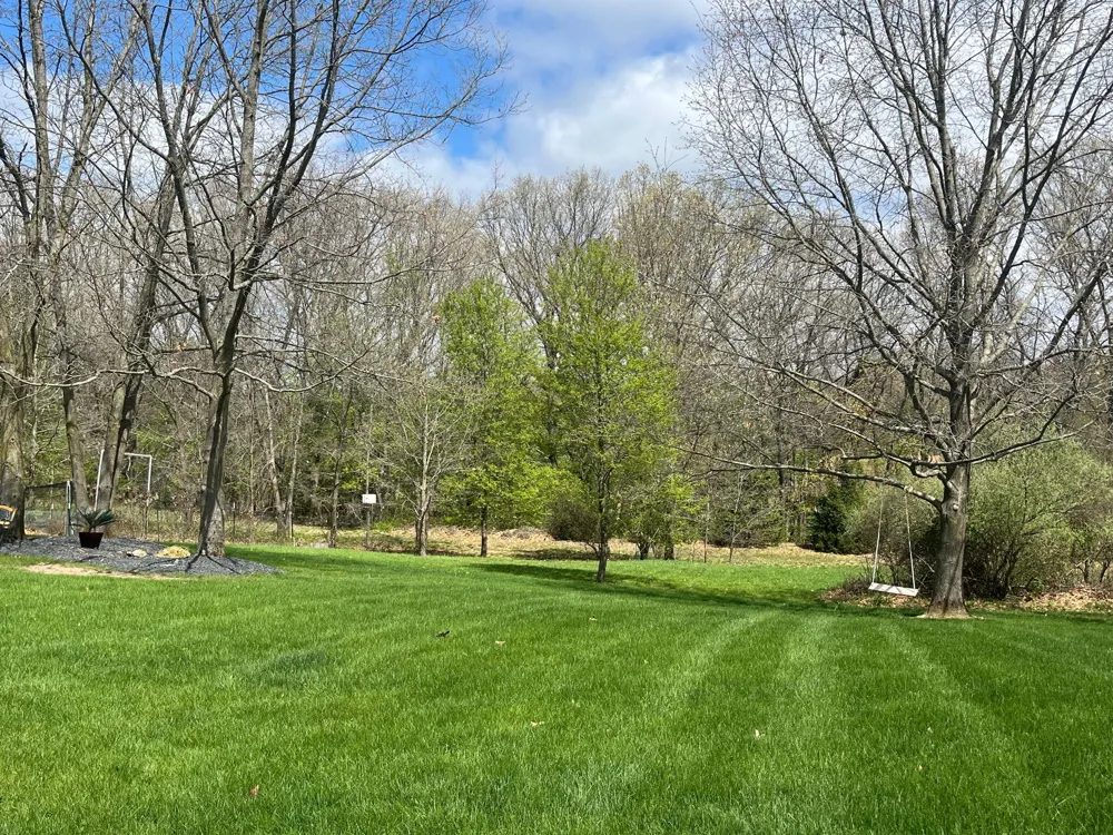 8059 Buttrick Ridge Trail SE Caledonia Township, MI 49302