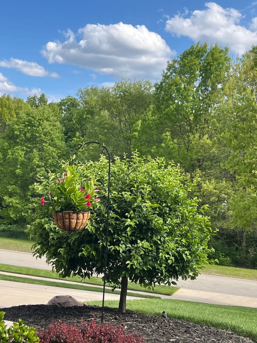 8059 Buttrick Ridge Trail SE Caledonia Township, MI 49302
