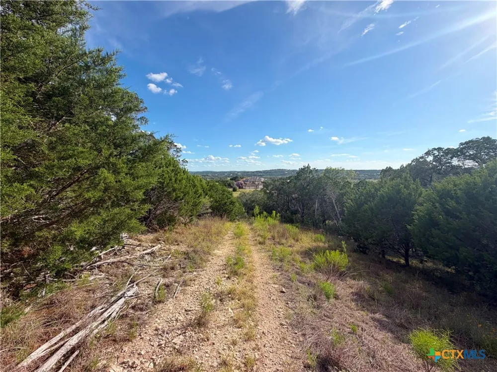233 Enigma Avenue Spring Branch, TX 78070