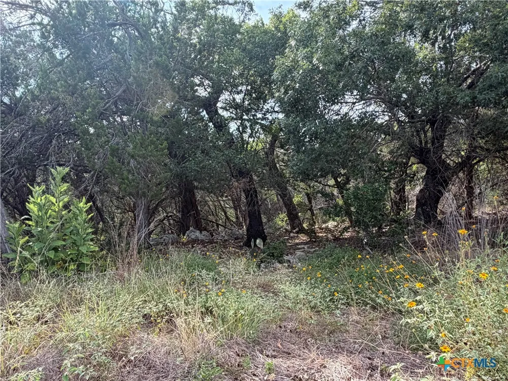 233 Enigma Avenue Spring Branch, TX 78070