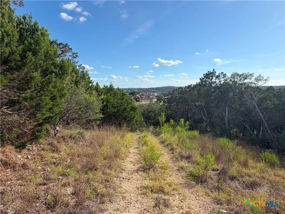 233 Enigma Avenue Spring Branch, TX 78070