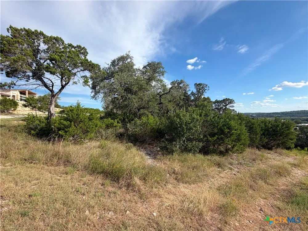 233 Enigma Avenue Spring Branch, TX 78070