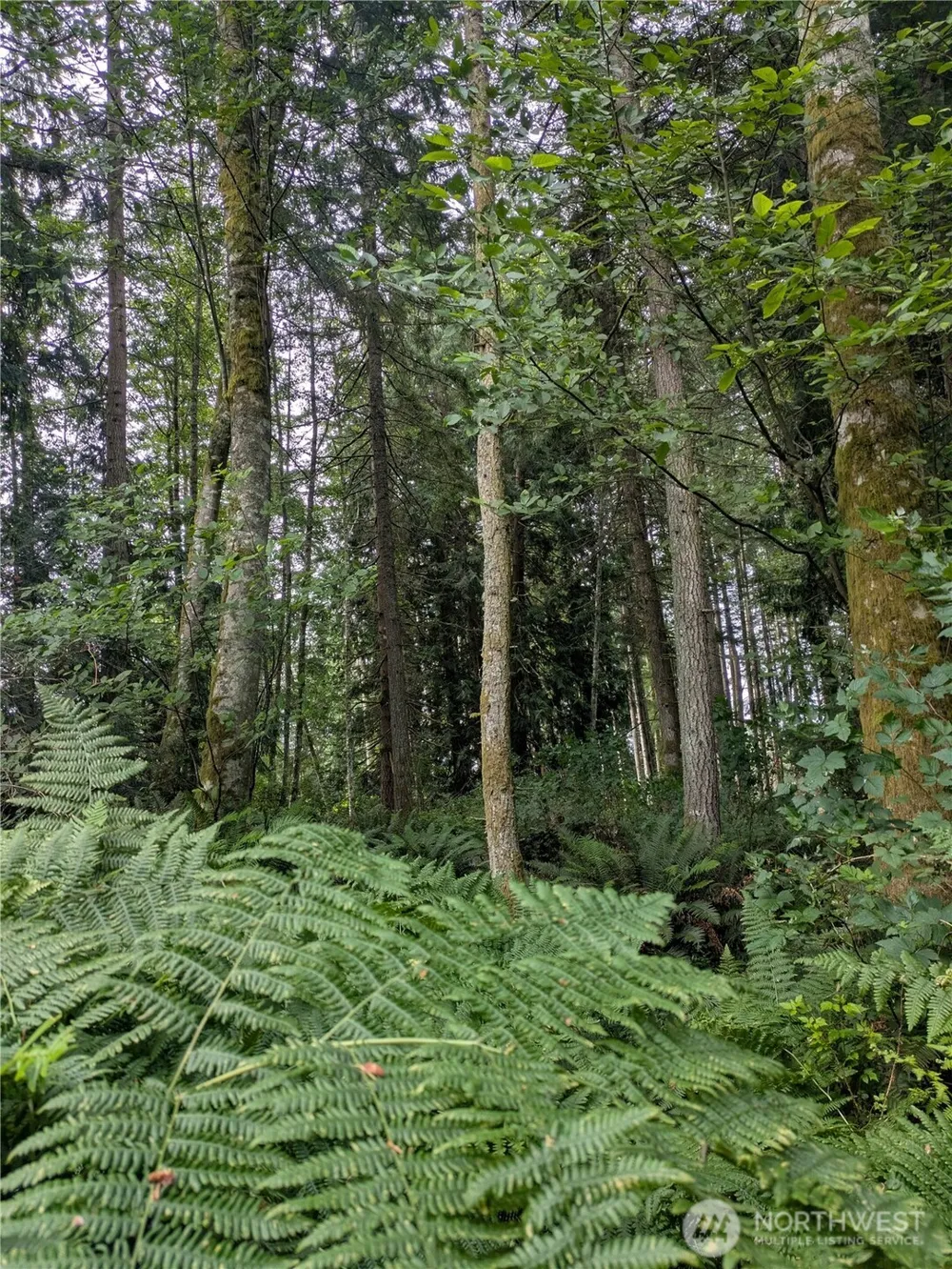0 Maxwelton Road Langley, WA 98260