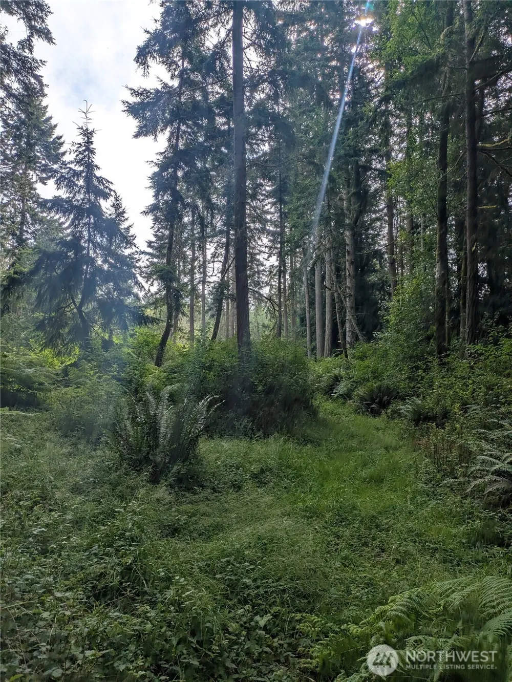 0 Maxwelton Road Langley, WA 98260