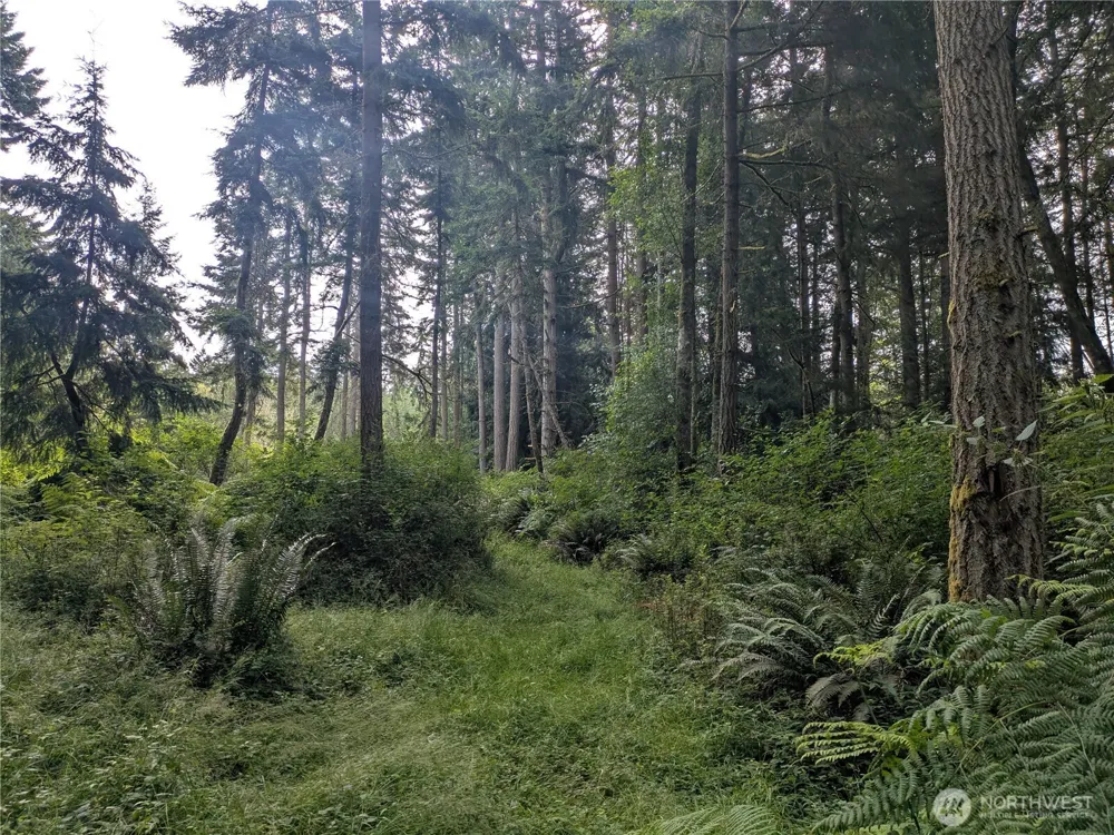 0 Maxwelton Road Langley, WA 98260