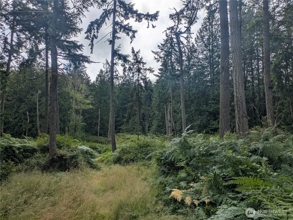 0 Maxwelton Road Langley, WA 98260