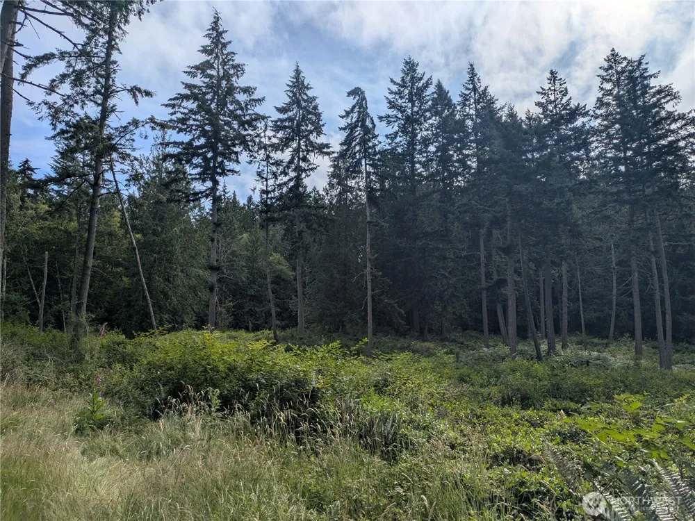 0 Maxwelton Road Langley, WA 98260