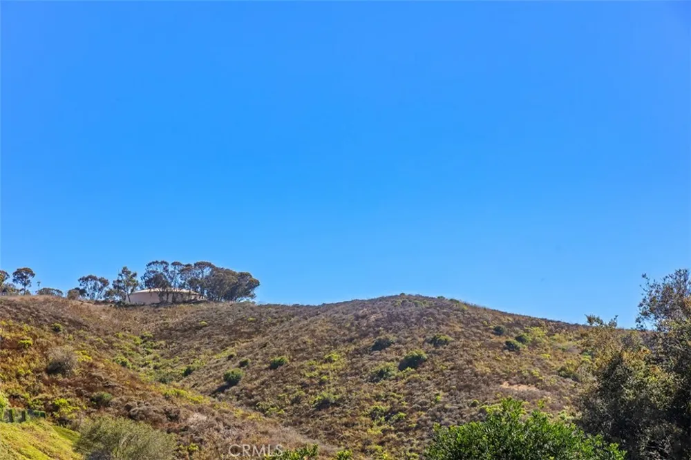 28142 Pacifica Del Mar San Juan Capistrano, CA 92675