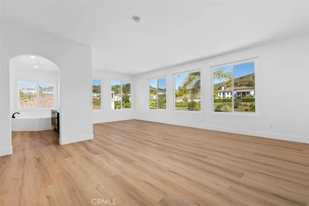 28142 Pacifica Del Mar San Juan Capistrano, CA 92675