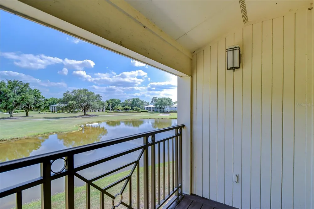 29300 BAY HOLLOW DRIVE #3256 Wesley Chapel, FL 33543