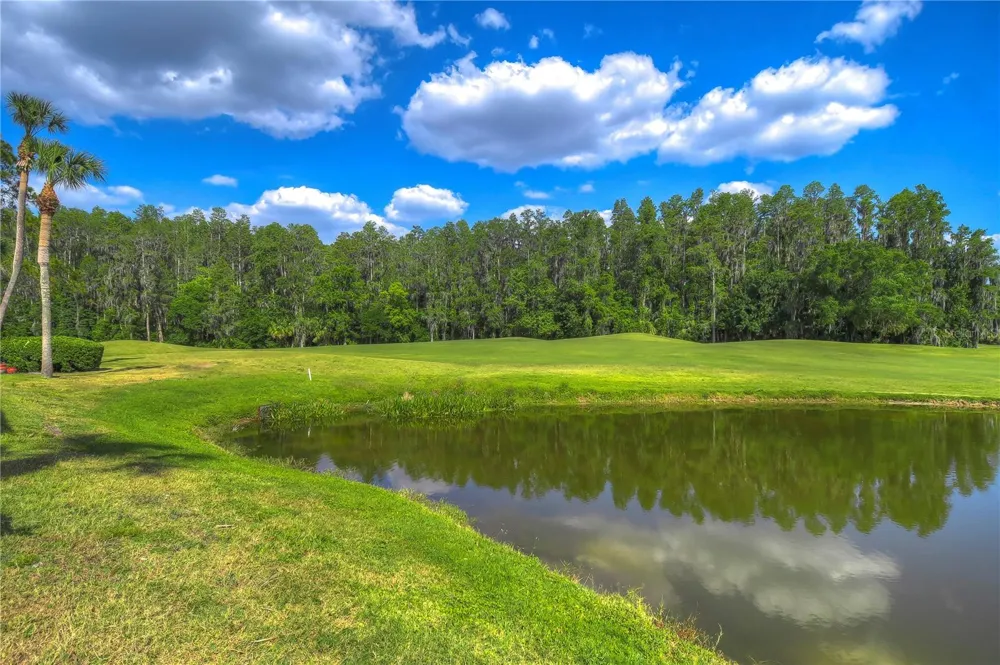 29300 BAY HOLLOW DRIVE #3256 Wesley Chapel, FL 33543