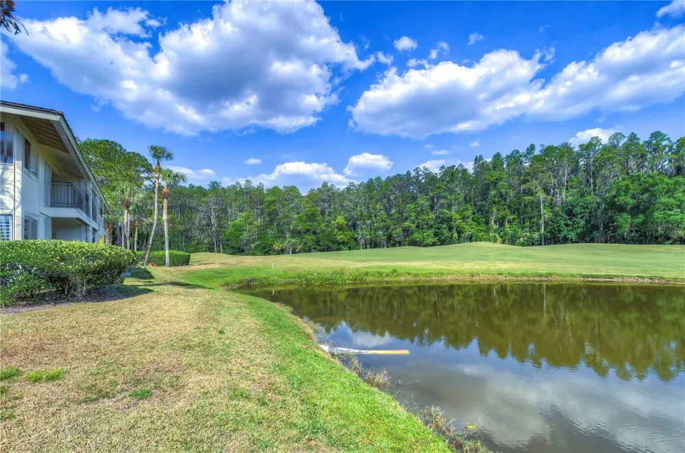 29300 BAY HOLLOW DRIVE #3256 Wesley Chapel, FL 33543