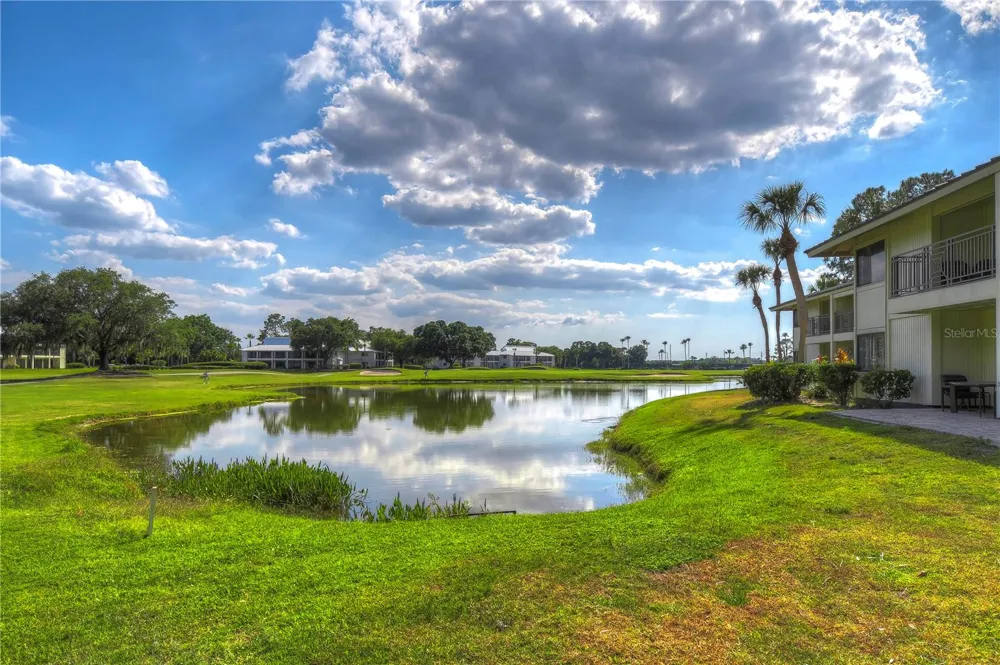 29300 BAY HOLLOW DRIVE #3256 Wesley Chapel, FL 33543