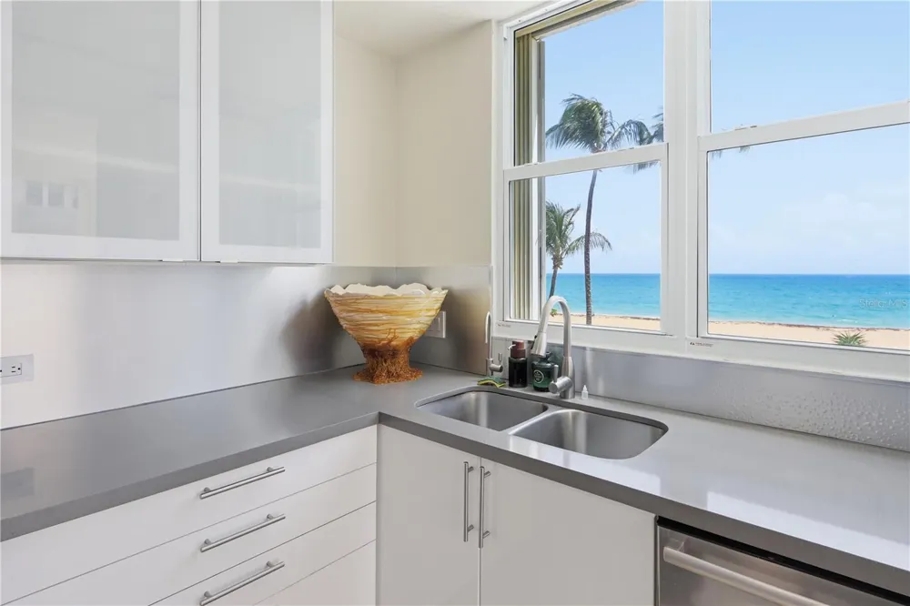 Carrion Court #6 CARRION COURT PLAYA STREET #103 San Juan, PR 00911