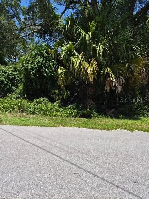 69 SE Ocklawaha, FL 32179