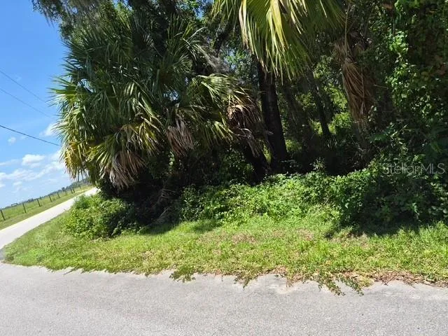 69 SE Ocklawaha, FL 32179