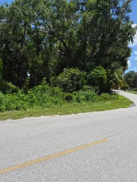 69 SE Ocklawaha, FL 32179