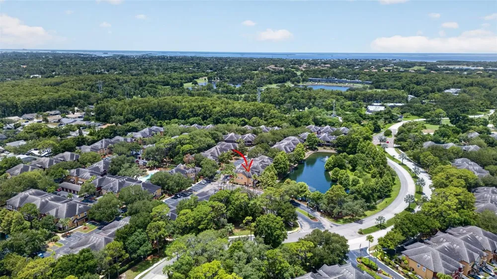 2217 TUSCANY TRACE #7 Palm Harbor, FL 34683