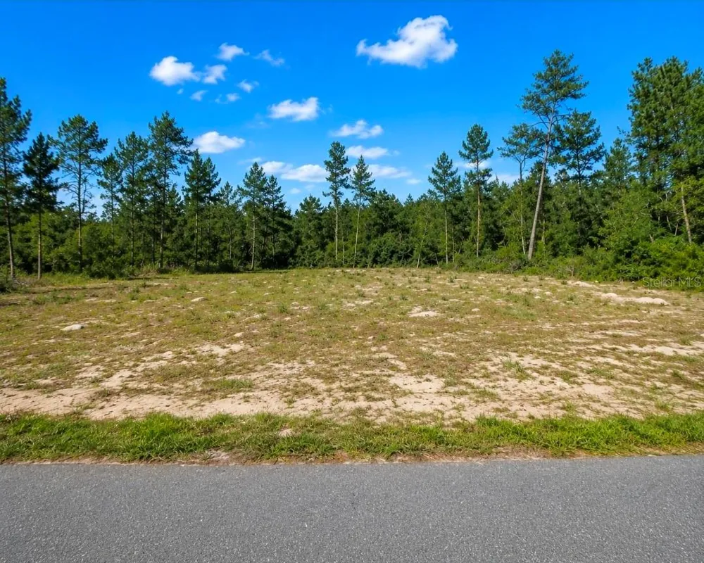 TBD SW 20TH COURT ROAD ocala, FL 34473