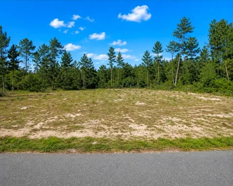 TBD SW 20TH COURT ROAD
