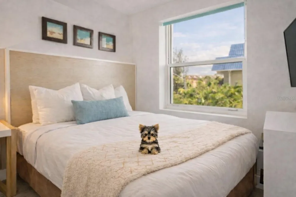 10091 GULF BOULEVARD #203E Treasure Island, FL 33706