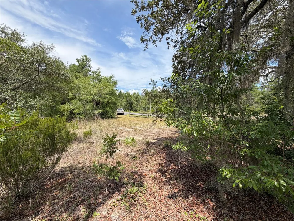 9730 NE STATE ROAD 24 Archer, FL 32618