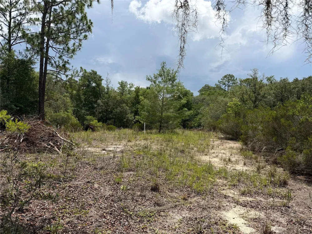 9730 NE STATE ROAD 24 Archer, FL 32618