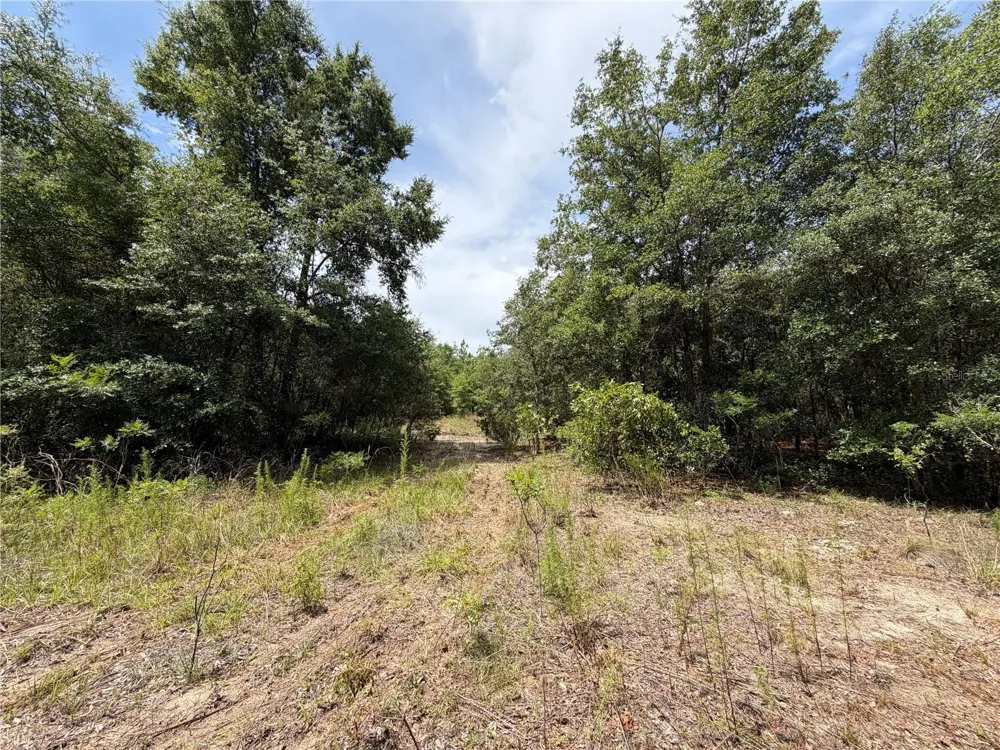 9730 NE STATE ROAD 24 Archer, FL 32618
