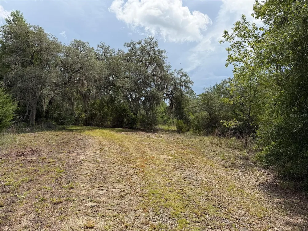 9730 NE STATE ROAD 24 Archer, FL 32618