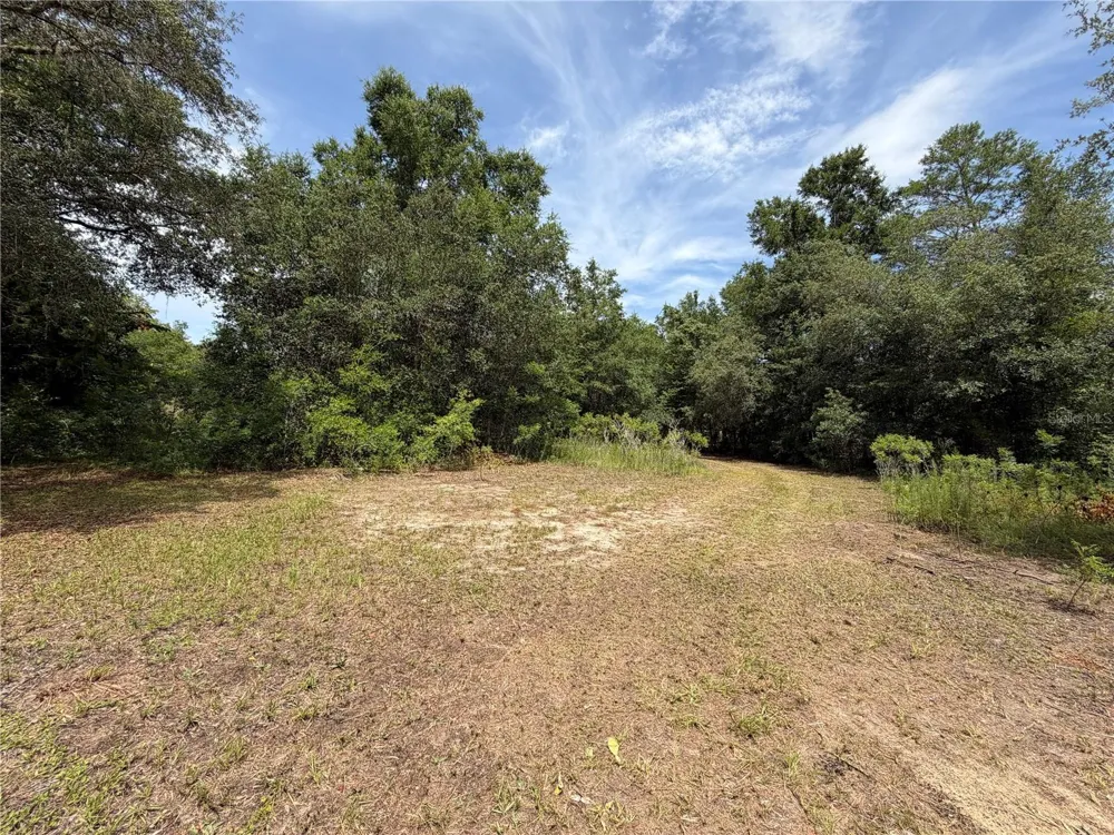 9730 NE STATE ROAD 24 Archer, FL 32618