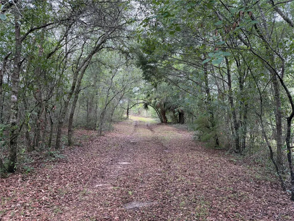 9730 NE STATE ROAD 24 Archer, FL 32618