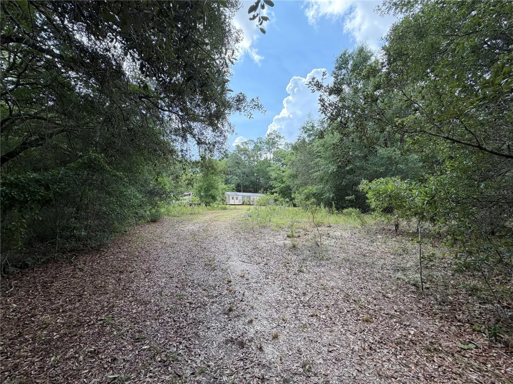 9730 NE STATE ROAD 24 Archer, FL 32618