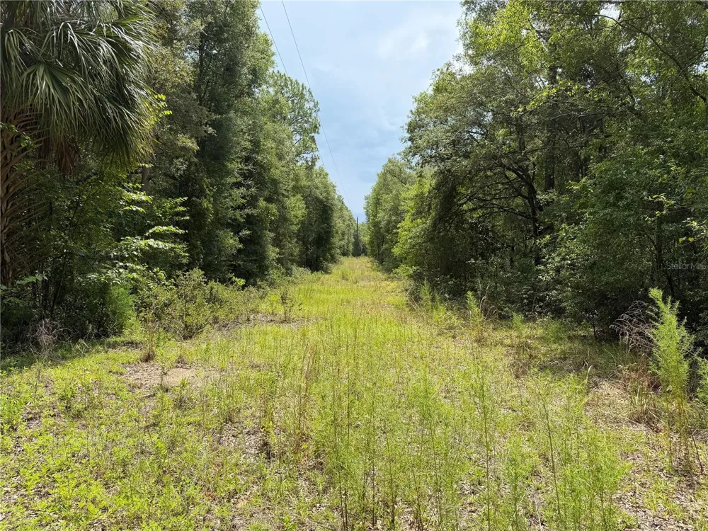 9730 NE STATE ROAD 24 Archer, FL 32618