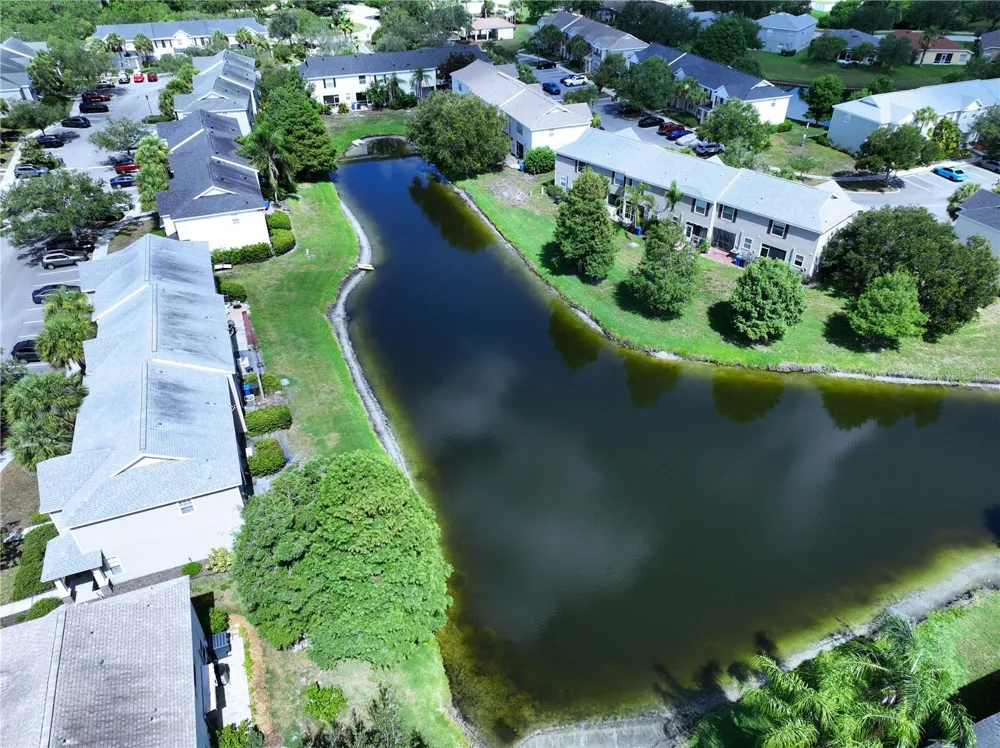 12207 COUNTRY WHITE CIRCLE Tampa, FL 33635
