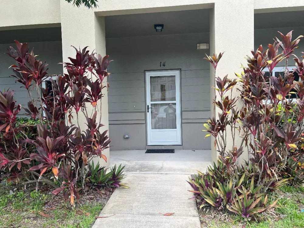 2294 BELGIAN LANE #14 Clearwater, FL 33763
