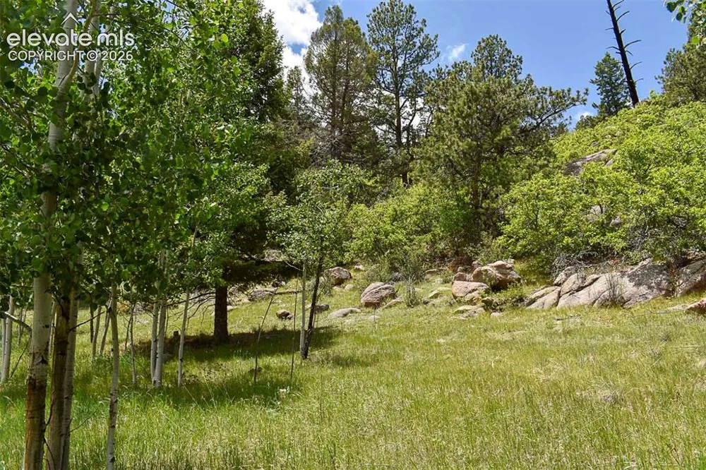 281 Deer Lane Guffey, CO 80820