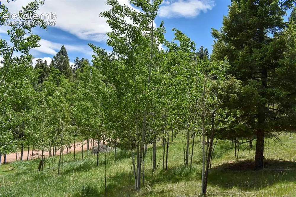 281 Deer Lane Guffey, CO 80820