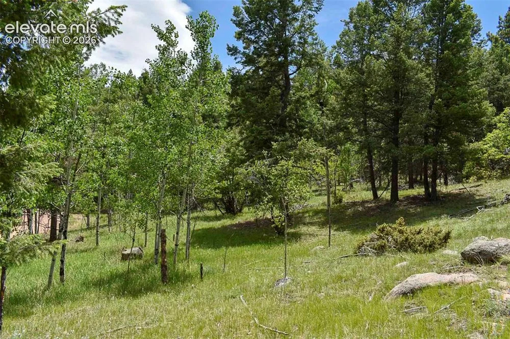 281 Deer Lane Guffey, CO 80820
