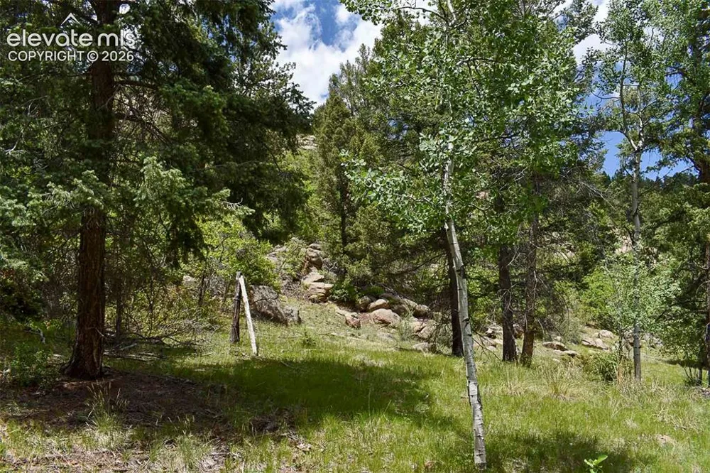 281 Deer Lane Guffey, CO 80820
