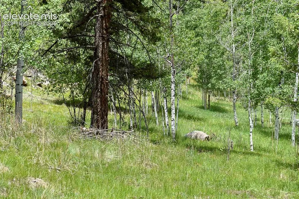 281 Deer Lane Guffey, CO 80820