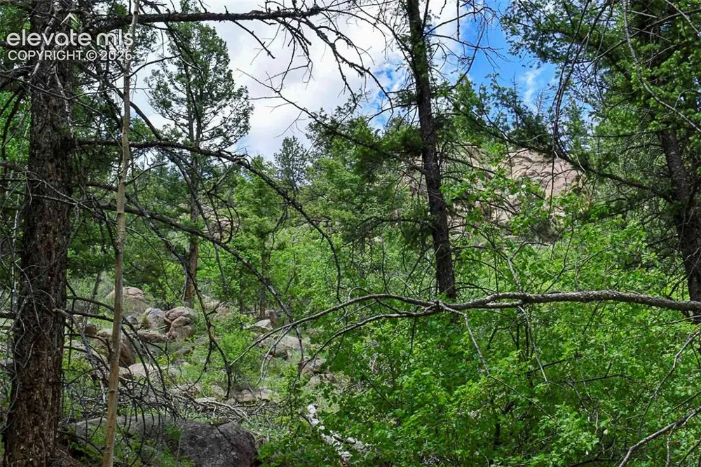 281 Deer Lane Guffey, CO 80820