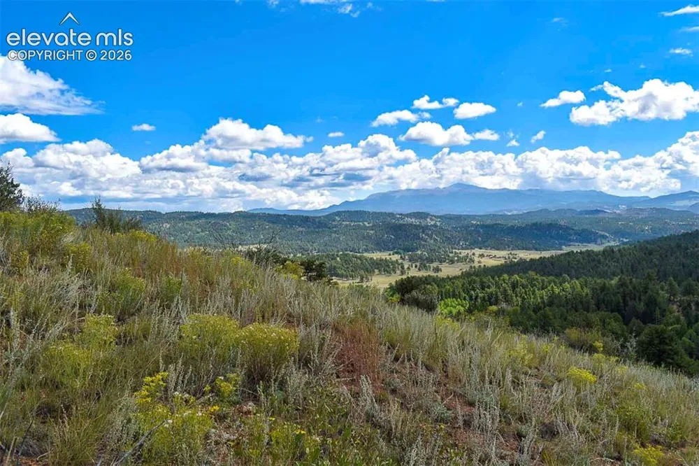 281 Deer Lane Guffey, CO 80820