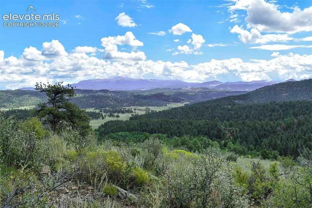 281 Deer Lane Guffey, CO 80820